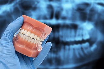 Gloved hand holding a dental model of teeth with a blurred dental X-ray in the background.