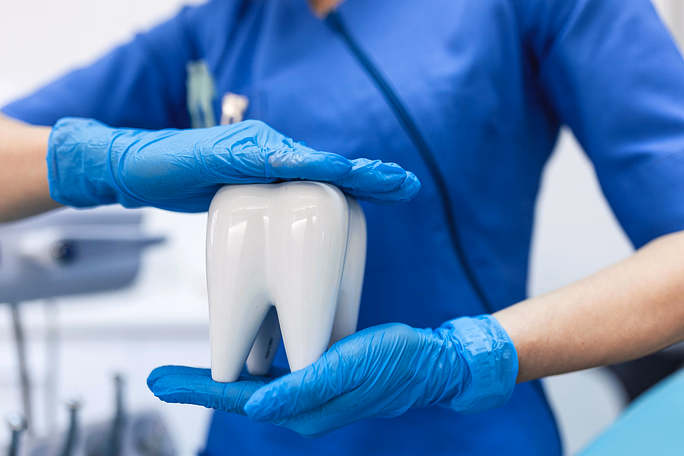 Dentista con guantes azules sosteniendo un modelo grande de un diente en una clínica dental.